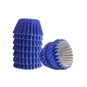 FORMINHA DE PAPEL N 5 AZUL ESC C 100 UN 10 X 1