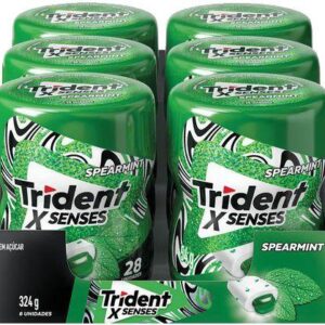 Trident Garrafa Menta c/6 CX