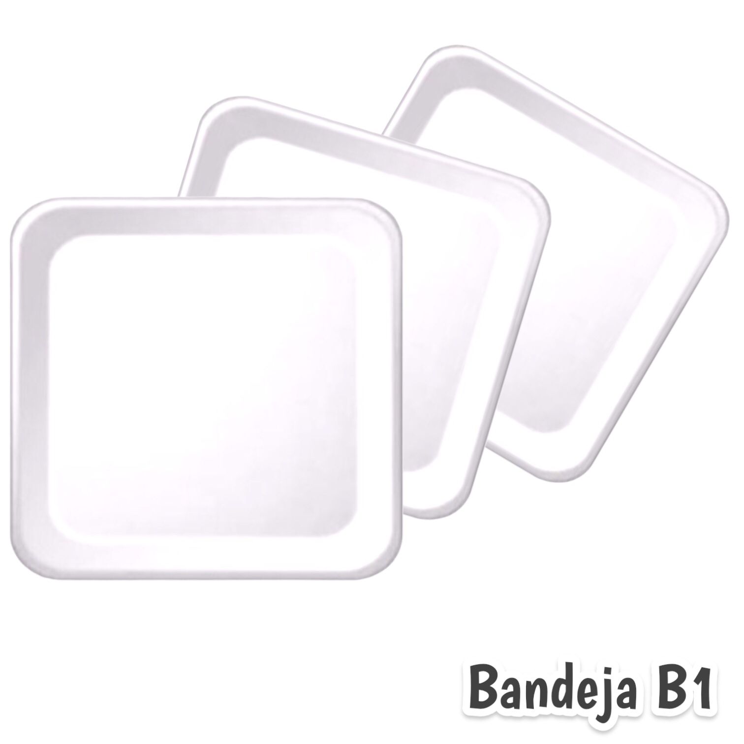 BANDEJA B1 C/100
