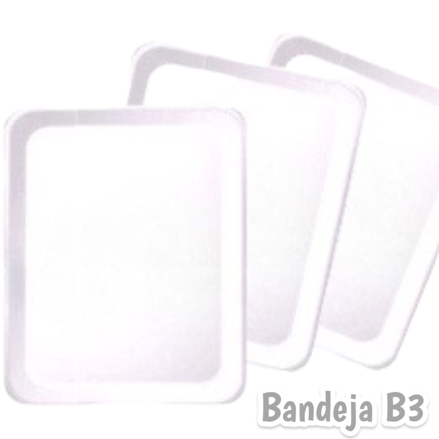 BANDEJA B3 C/100
