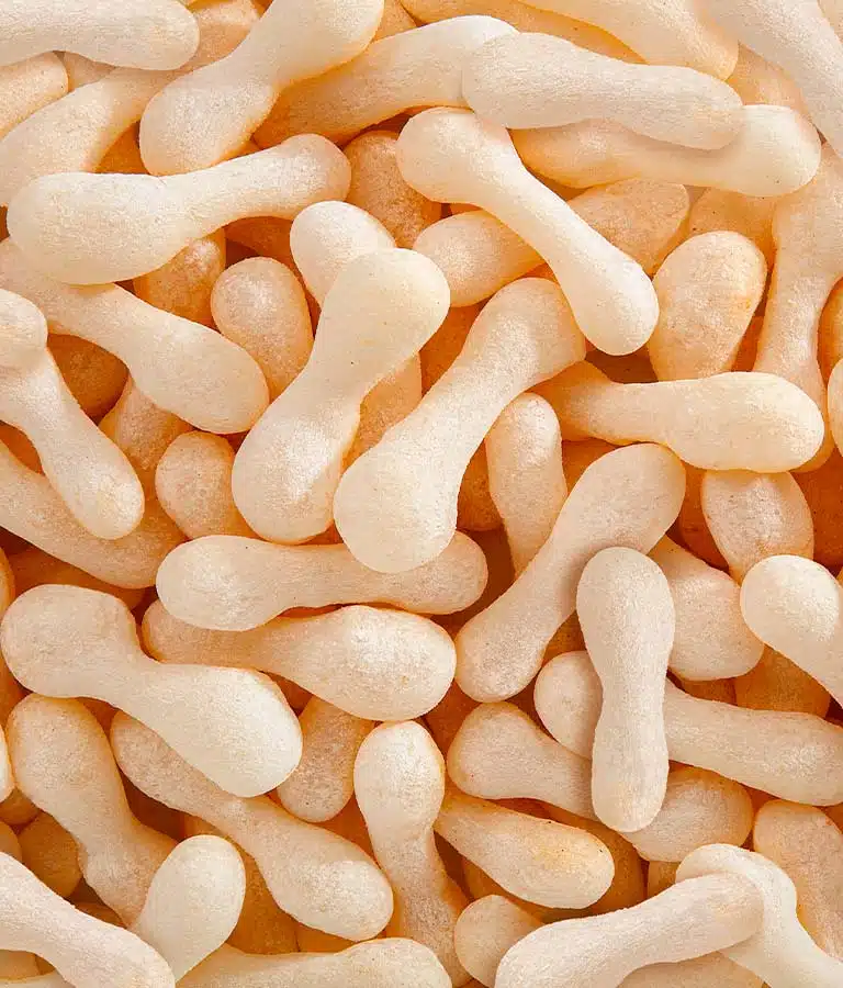 BISCOITO DE POLVILHO MAE RAINHA