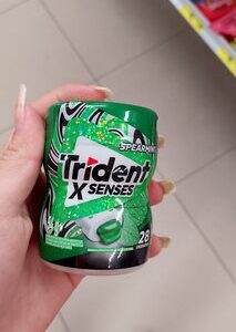 Trident Garrafa Menta UN