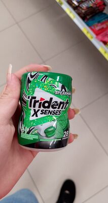Trident Garrafa Menta UN
