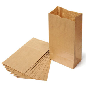 SACO P/LANCHE 1KG 25X19